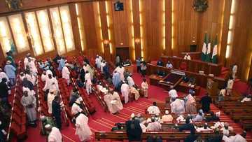 Everything we have done is within our powers - National Assembly opens up on 2018 Budget cuts