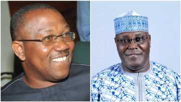 Anyi Walkiya: Dalilin da ya sanya Atiku ya zabi Peter Obi a matsayin Mataimakin sa