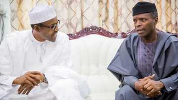 Yadda firar Buhari da Osinbajo ta kasance a tarho kafin korar Lawal Daura (Karanta)