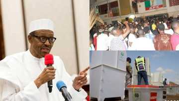 Some APC members use Buhari's name to achieve cheap political propaganda - Party leader