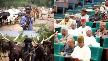 House of Representatives reveal how FG can end herdsmen/farmers crisis in Nigeria