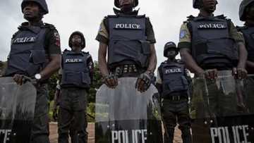 Important facts about Nigerian Police duties you should know