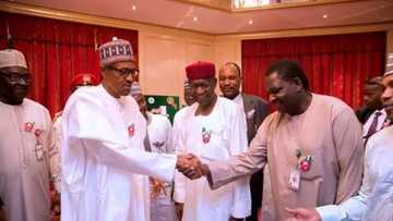 Why I never respond to some people on Buhari's health status - Femi Adesina