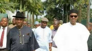 As ICPC Begins Probe, Amaechi Runs To President Buhari For Help