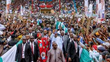 Why I want to be Ekiti governor again - Fayemi