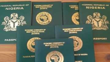 As from January 2018, no national ID number, no international passport - Immigration