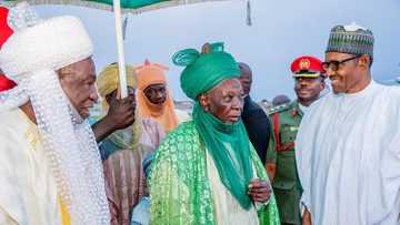 Babbar Sallah: Shugaba Buhari y isa Daura, hotuna