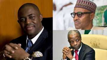 Democracy Day: Fani-Kayode deals Buhari, Osinbajo dirty blow