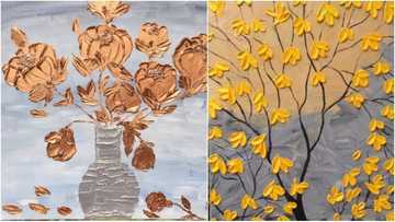 Northern Nigerian girl sets internet on fire with her beautiful artworks (photos)