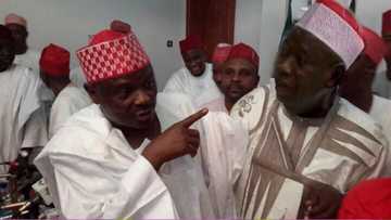 2019: I will retire Ganduje and his godfather - Kwankwaso