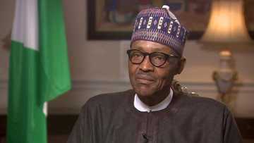 Return or resign - Concerned Nigerians tell Buhari, as they plan to stage protest outside his London residence