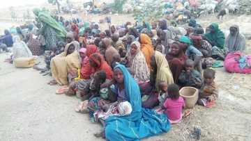 Matan da aka kubutar daga hannun kungiyar Boko Haram na cikin tsaka mai wuya - Rahoto na musamman