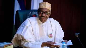 President Buhari's detailed CV surfaces online as top APC member speaks