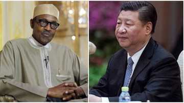 IMF cautions Nigeria against taking loans from China, states reason