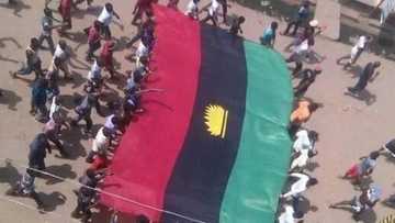 Biafra:  Amnesty International slams security forces for using lethal force against protesters