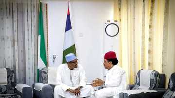 Dalilin da yasa na zabi cigaba da kasancewa a APC – Shehu Sani