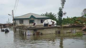 25 persons killed, 90 houses destroyed as flood hits Katsina state