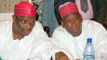 Kwankwaso is now a confused politician - Ganduje