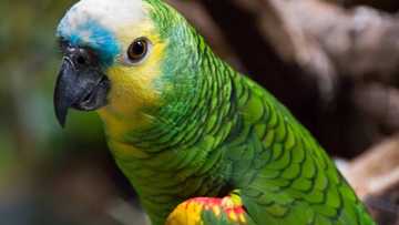 Yadda Aku ya lalata tsakanin Miji da Mata, Karanta