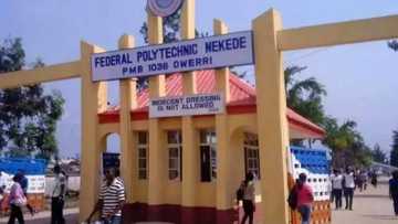 Federal Polytechnic Nekede school fees and courses for 2018-2019