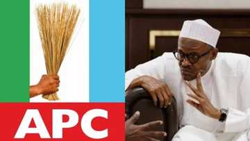 We'll rescue Nigeria from imminent collapse caused by the APC - New political party