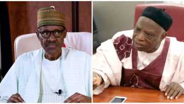 It is unfair to call for Buhari’s resignation - Northern senators come to president’s defense, chastise critics