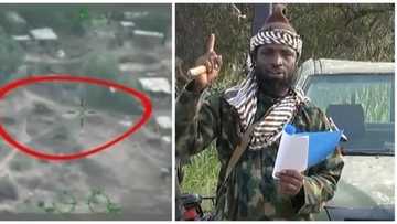 BREAKING: Boko Haram leader Abubakar Shekau fatally injured in air strike (video)