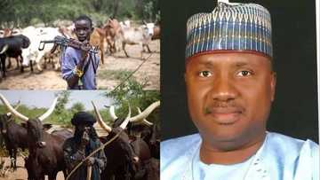 4 feared dead, houses destroyed in fresh suspected herdsmen attack in Adamawa