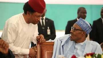 Kadarorin yan Najeriya a kasashen Dubai da Birtaniya: Shehu Sani ya bukaci Buhari ya fasa kwai