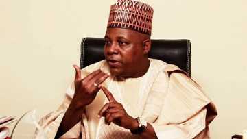 2019 : Kashim Shettima yana kokwanton tsayawa takarar kujerar sanata