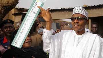 APC ta kama hanyar lashe zaben Sanatoci a Najeriya bayan PDP ta sha kashi akwatin Buhari