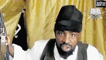 Yadda ISWAP Ta Yi Amfani da Mata da Yara Wajen Hallaka Shekau