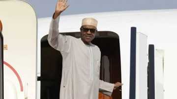 A hanyar Kano zuwa Daura aka binne sihirin da akayiwa Buhari - Inji wani shehin malami