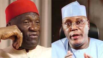 We never endorsed Atiku for 2019 presidency - Ohanaeze Ndigbo