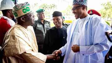 Shugaban kasa Buhari zai jagoranci bikin Maulidin Jagoran APC, Tinubu na 2021