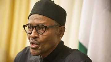 Boko Haram: President Buhari Going To Cameroon