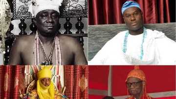 Who are the top 10 powerful and wealthy kings in Nigeria?