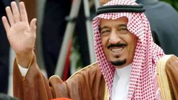 Dabbobi 5,000 sarkin Saudiyya yayi layya da su bana (Kalli bidiyon)