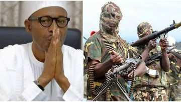 Kasafin kudin 2018: Tsagerun yankin Naija-Delta sun yi barazana ga gwamnatin tarayya