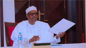 Buhari is a messiah, no amount of coalition can stop APC at the centre in 2019 - Ex-lawmaker