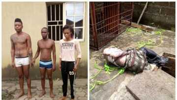 Police arrest 3 suspects who allegedly murdered Jumia delivery man in Port Harcourt (Photos)