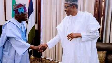 Buhari is deceiving Tinubu and Tinubu is deceiving Buhari, Adebanjo insists