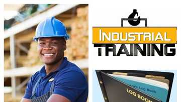 Simple tutorial on how to ✍ fill a logbook for industrial training