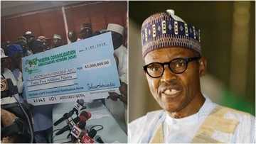 Kudin takarar Buhari: Babu wani jami’in gwamnati daya bamu kwandala - Kungiyar NCAN