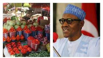 GOOD NEWS: President Buhari finally moves Nigeria out of recession as economy grows stronger
