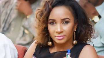 Ibinabo Fiberesima'case: Victim's family makes shocking revelation