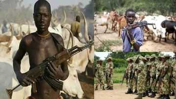 Fulani herdsmen worse than Boko Haram, they kill children and women - Nigerian army cries out (Video)