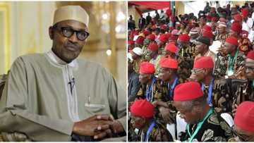 2019: Support Buhari, do not repeat the political mistake you made in the past - Yoruba group tells Ndigbo