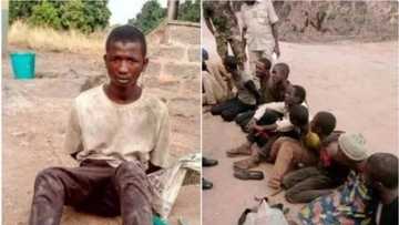 Dakarun sojoji sun kama makiyaya guda 10 suna barna a cikin wat gona a jihar Benuwe