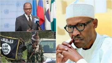 Boko Haram: An kashe Maciji ba’a sare kansa ba – Inji Majalisar dinkin Duniya